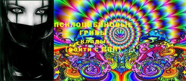 ПСИЛОЦИБИНОВЫЕ ГРИБЫ Алзамай