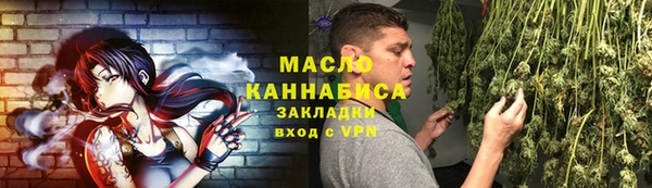 гидра Новозыбков